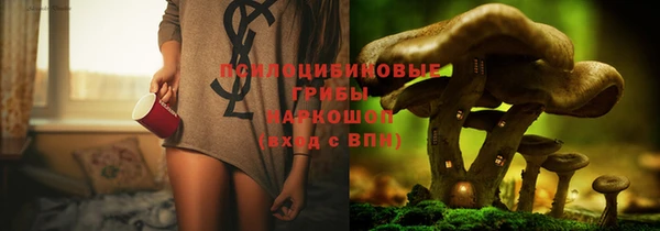 дурь Новозыбков