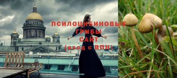 эйфоретик Новодвинск