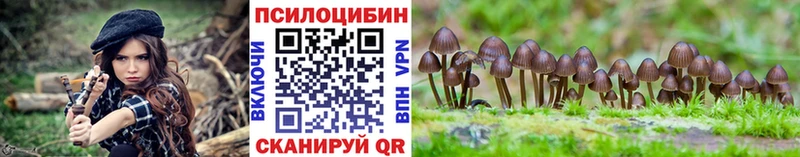 Купить Карталы Галлюциногенные грибы Psilocybe
